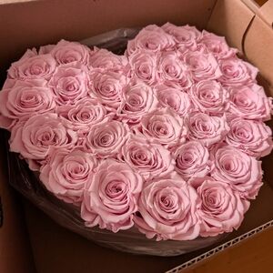 Bardot black dress size Large